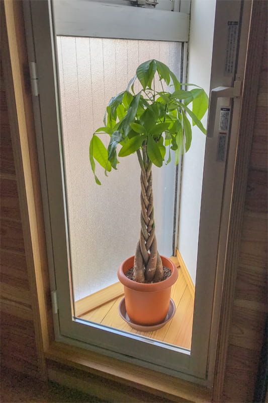 リフォーム完成:洋室1